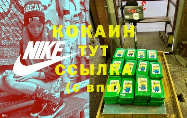 соль ск Кулебаки
