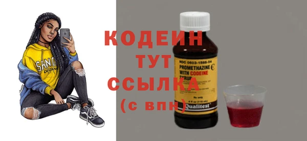крисы Лабытнанги