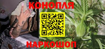 дурь Кингисепп
