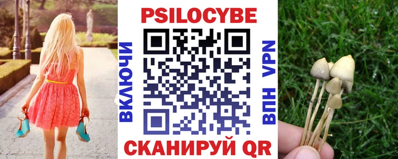 дарк нет клад  Сухой Лог  Псилоцибиновые грибы ЛСД  цены наркотик 