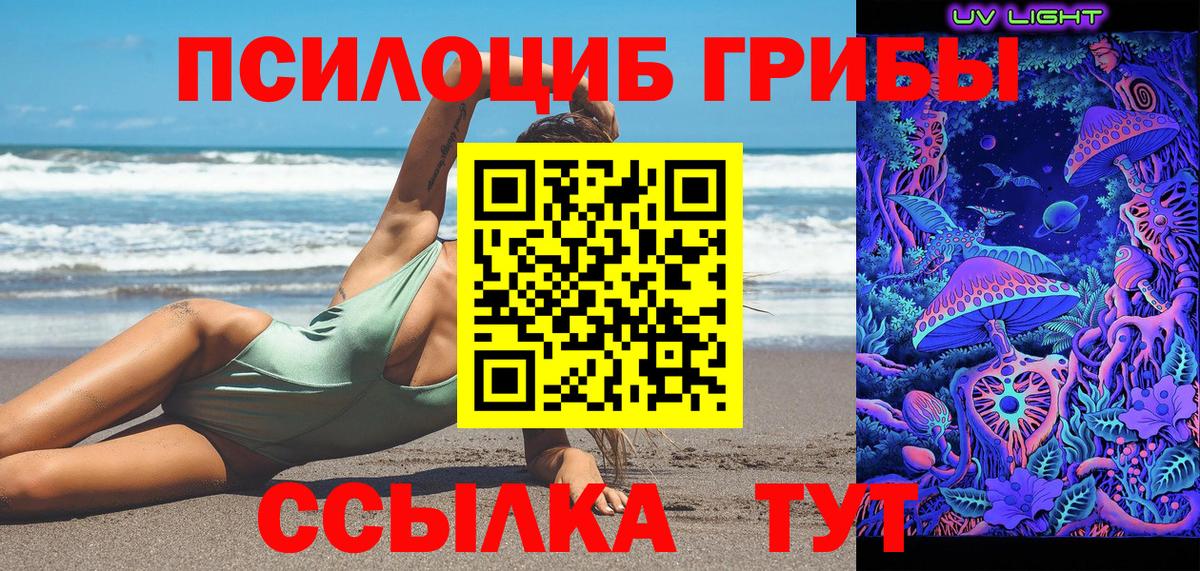 Псилоцибиновые грибы Cubensis Сухой Лог